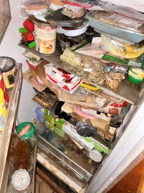 Vis ma vie de logement insalubre journal d'un frigo abandonné