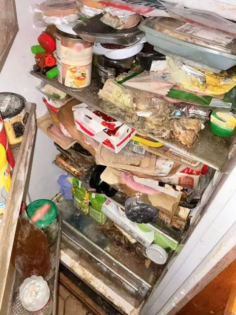 Vis ma vie de logement insalubre journal d'un frigo abandonné