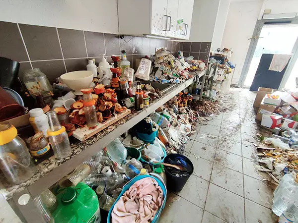Trouble de l’accumulation compulsive